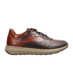 Sneakers|Casual*Josef Seibel Cameron 08